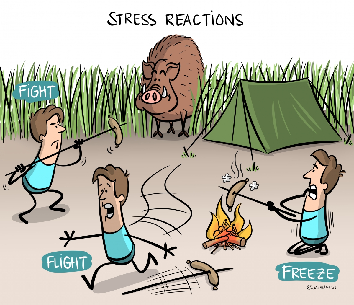 Fig 1: Stress reactions according to fight-flight-freeze theory
