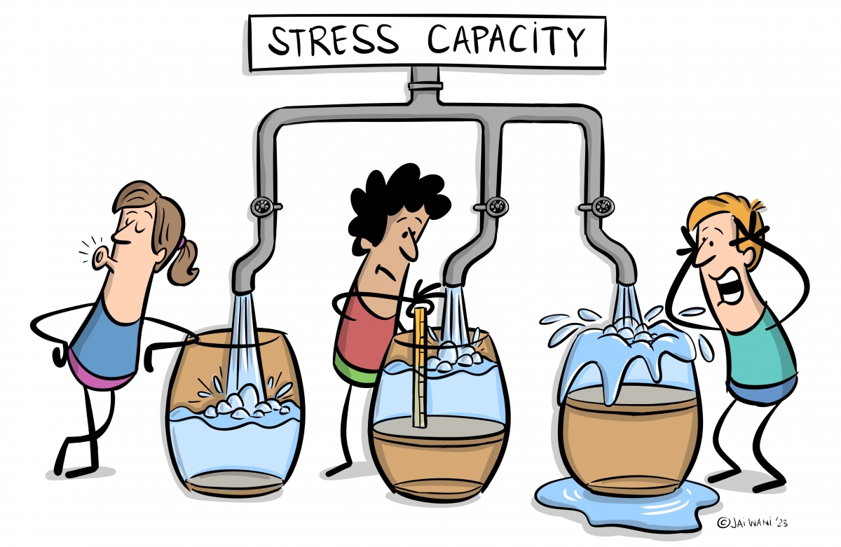 Fig 4: Capacity for stress as an explanation for the development of psychological stress