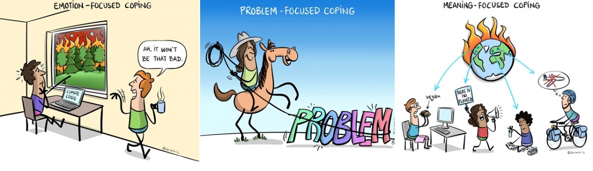 Fig 5: Coping strategies (emotion focused, problem focused, meaning focused)