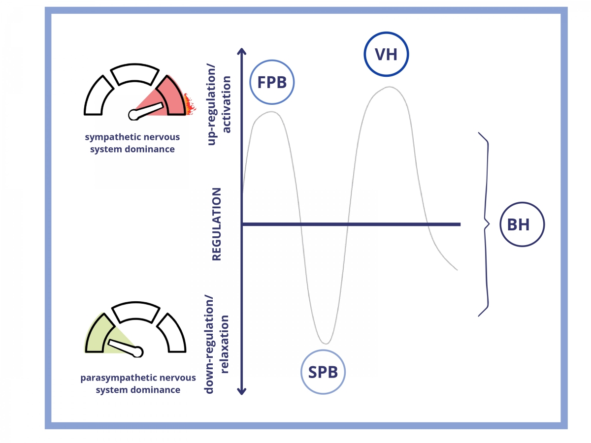 Image 3. Voluntary breath regulation techniques according to the primary autonomic regulation mechanism
