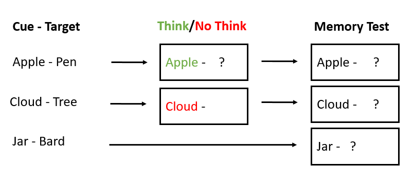Figure 3: The Think/No-Think Paradigm Procedure