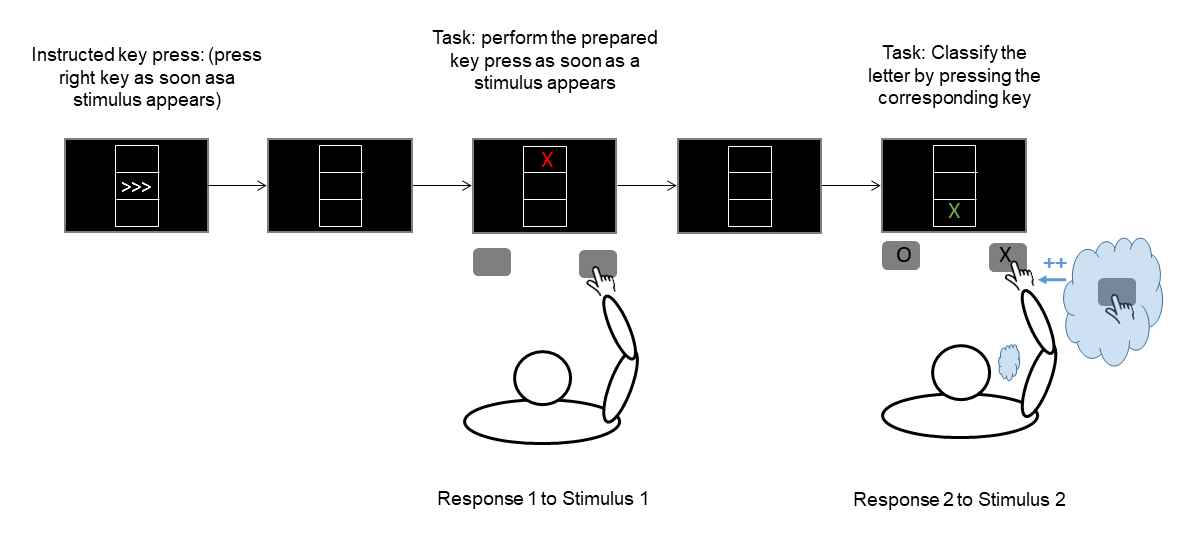 Stimulus-response bindings emerge when a response (here: response 1) is executed to a given stimulus (stimulus 1). If a feature of stimulus 1 repeats later on (stimulus 2), this will retrieve the stimulus-response binding, which reactivates the formerly executed response. If the retrieved response matches the requirements of the current situation (i.e., response 2 = response 1), the second response is typically executed faster (represented by “++” in the picture). Stimulus-response bindings emerge when a response (here: response 1) is executed to a given stimulus (stimulus 1). If a feature of stimulus 1 repeats later on (stimulus 2), this will retrieve the stimulus-response binding, which reactivates the formerly executed response. If the retrieved response matches the requirements of the current situation (i.e., response 2 = response 1), the second response is typically executed faster (represented by “++” in the picture).