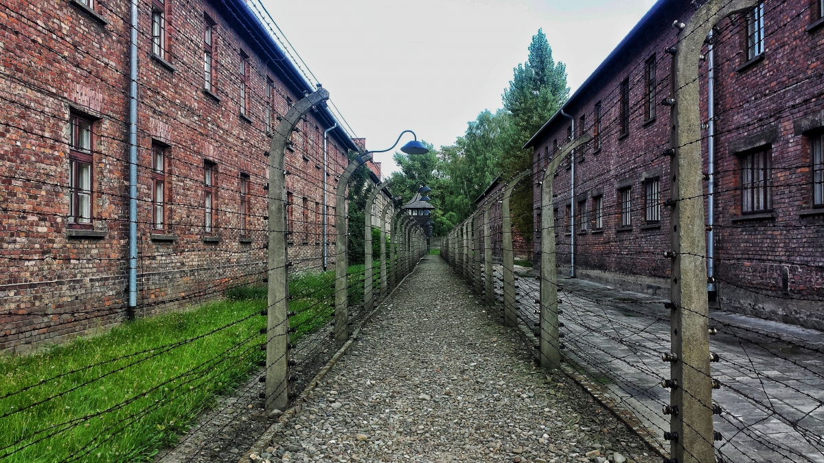 An abandoned corridor at the Auschwitz concentration camp. The identity leadership model can also shed light on the inhumane treatment of Jews by Nazi leaders during the Holocaust. Photo by Larah Vidotti on Pixabay