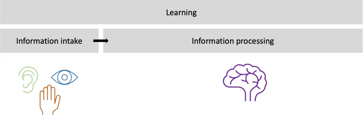 Figure 3: Learning in the process of information intake and processing Figure 3: Learning in the process of information intake and processing