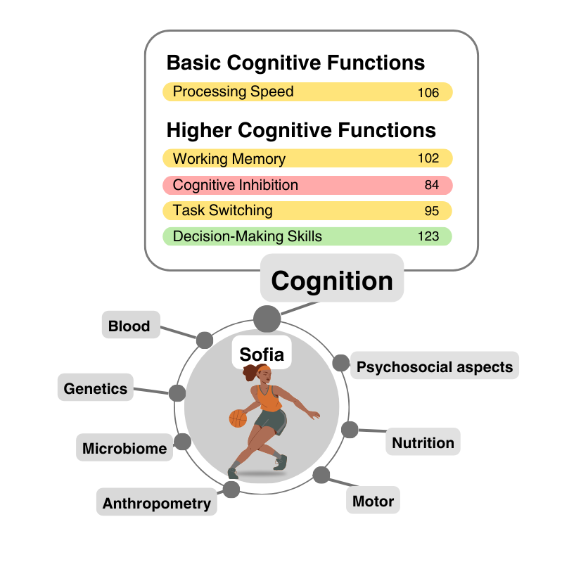 Image 1: Multidisciplinary measures for athlete development with a particular focus on cognitive functions Image 1: Multidisciplinary measures for athlete development with a particular focus on cognitive functions