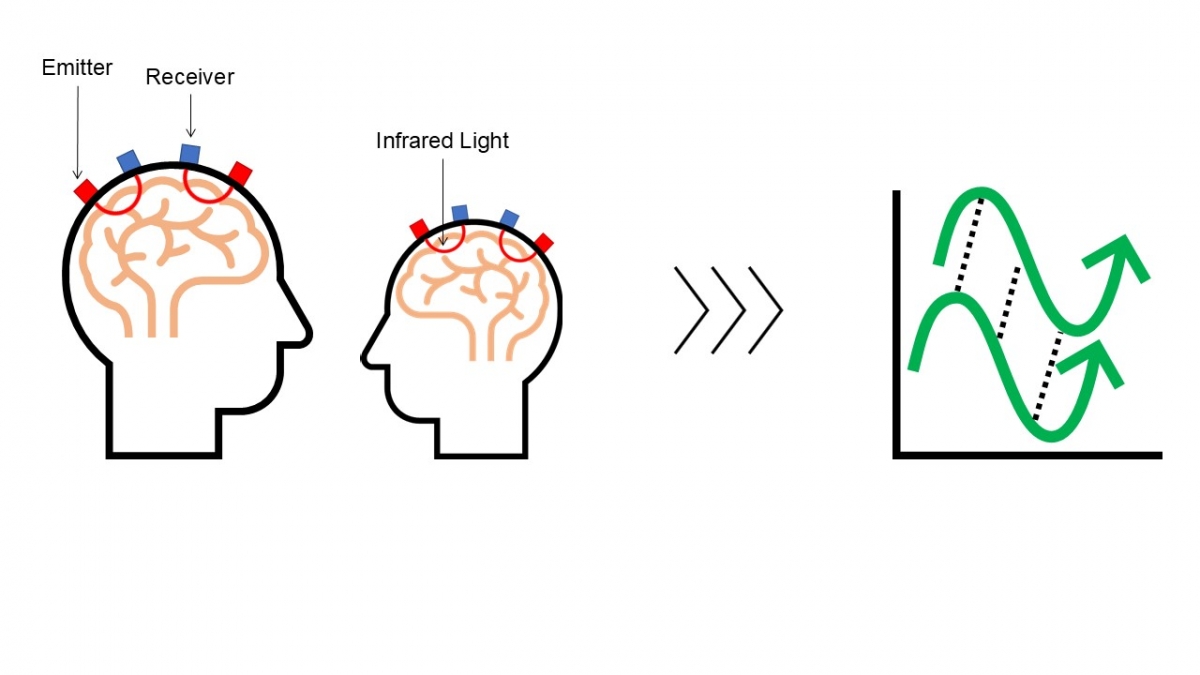 Picture 2: Schematic depiction of the fNIRS measurement principle. Left: Emitters (red squares) on the scalp surface emit infrared light (red lines), which is partially absorbed within the outermost layers of the brain and subsequently returns to the scalp surface where it is detected by receivers (blue squares). Right: From the pattern of the received infrared light, the increase and decrease in brain activity (green lines) of the parent and child are first individually determined and then converted into a measure of mutual adaptation of brain activity (dashed black lines).